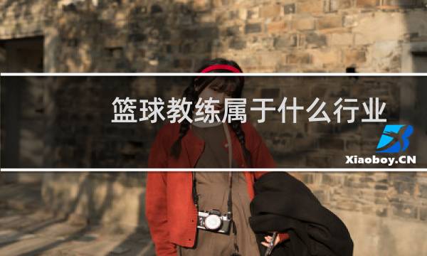 篮球教练属于什么行业图片