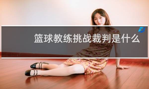 篮球教练挑战裁判是什么意思图片