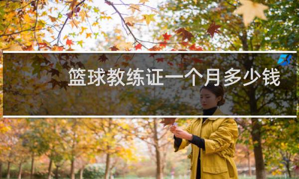 篮球教练证一个月多少钱图片