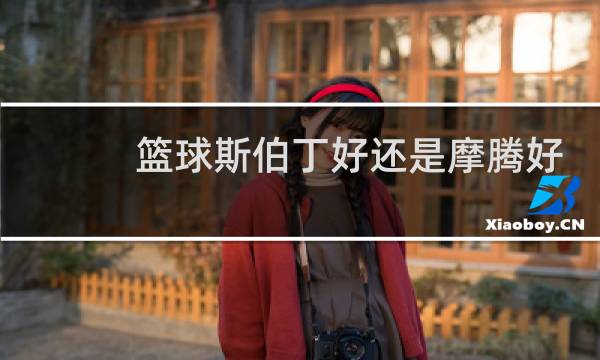 篮球斯伯丁好还是摩腾好图片
