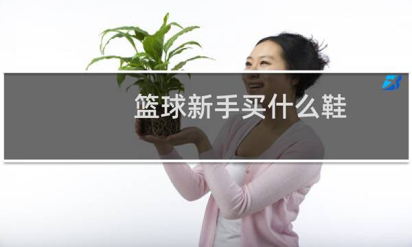 篮球新手买什么鞋图片