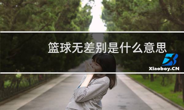 篮球无差别是什么意思图片