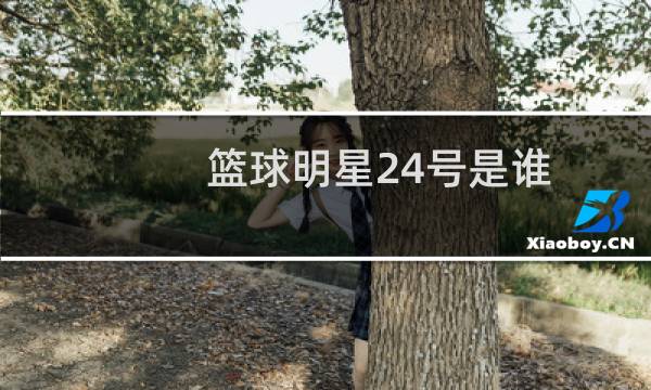 篮球明星24号是谁图片