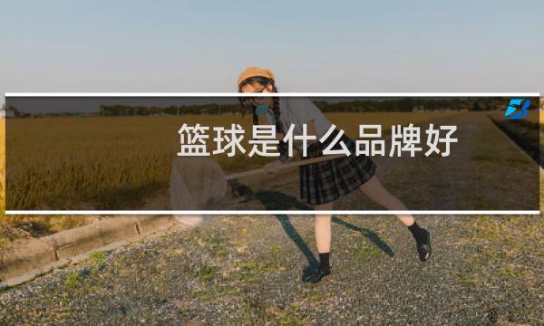 篮球是什么品牌好图片