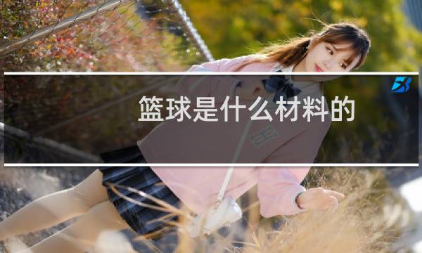 篮球是什么材料的图片