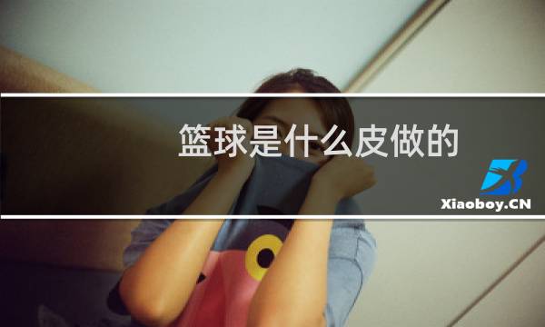篮球是什么皮做的图片