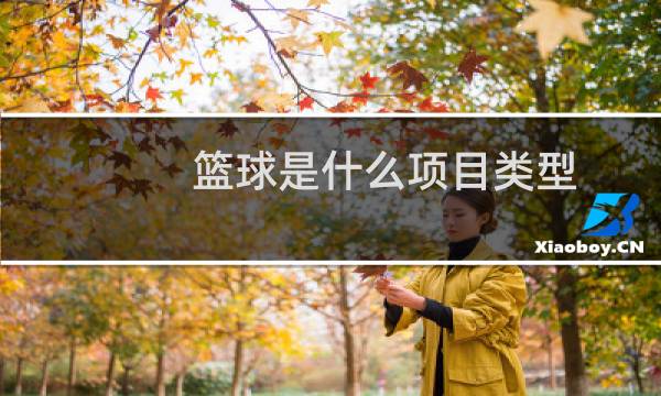 篮球是什么项目类型图片