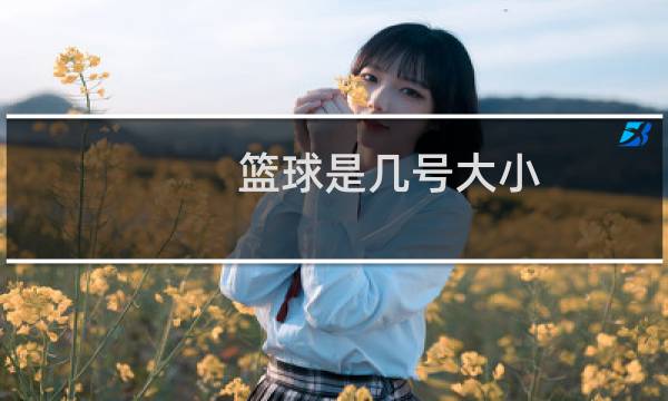 篮球是几号大小图片