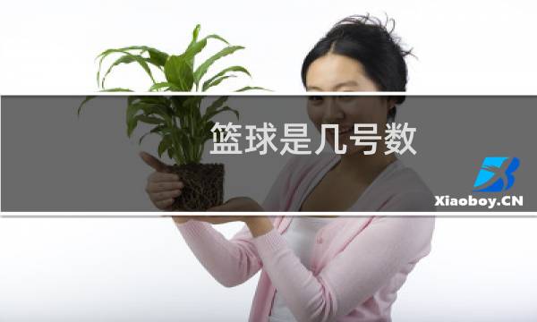 篮球是几号数图片