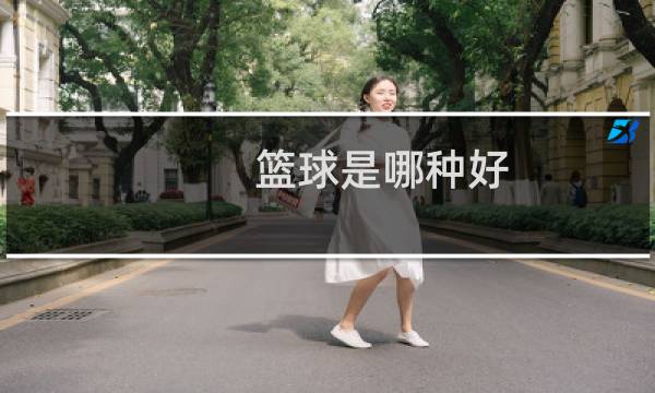 篮球是哪种好图片