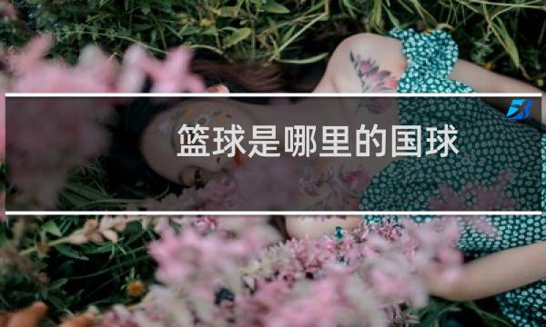 篮球是哪里的国球图片