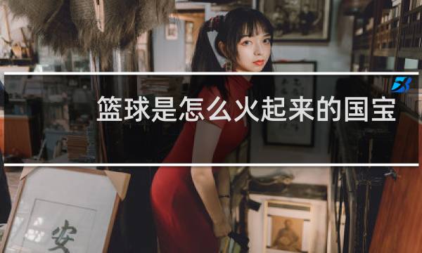 篮球是怎么火起来的国宝图片