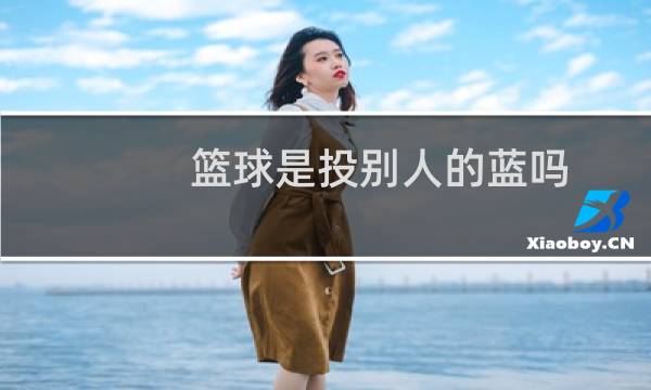 篮球是投别人的蓝吗图片