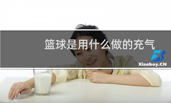 篮球是用什么做的充气图片