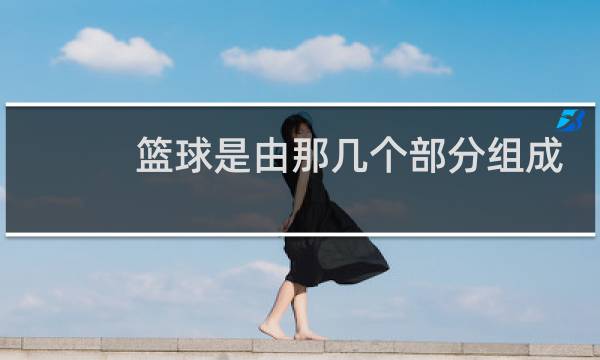 篮球是由那几个部分组成图片