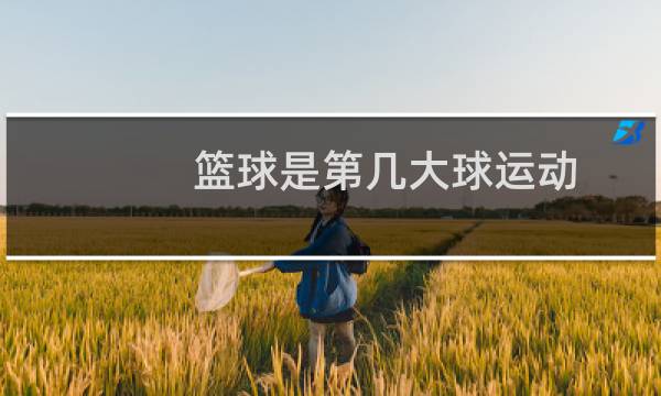篮球是第几大球运动图片