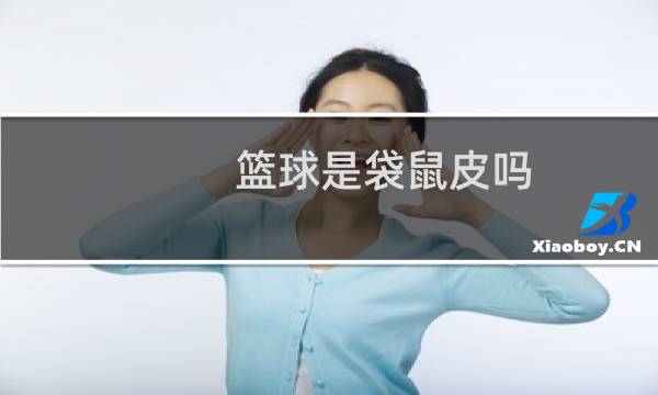 篮球是袋鼠皮吗图片