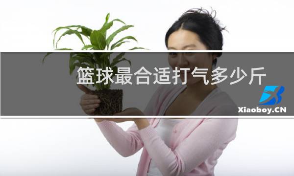 篮球最合适打气多少斤图片