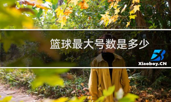 篮球最大号数是多少图片