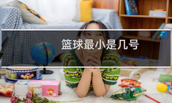篮球最小是几号图片