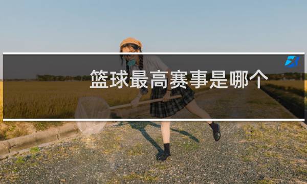 篮球最高赛事是哪个图片