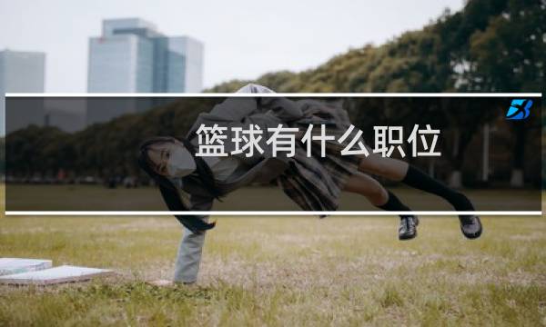 篮球有什么职位图片