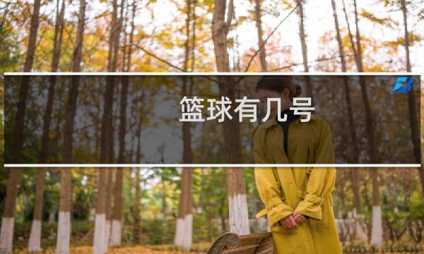 篮球有几号图片