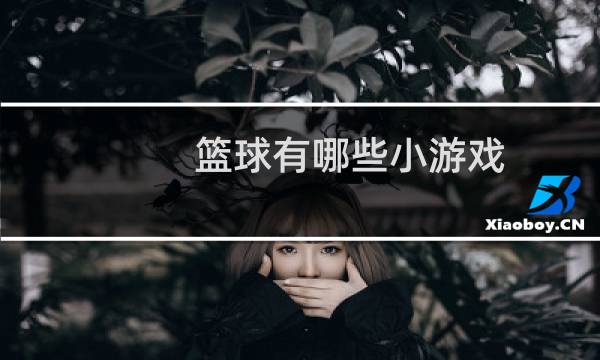 篮球有哪些小游戏图片