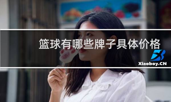篮球有哪些牌子具体价格图片