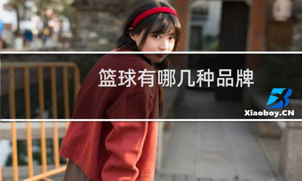 篮球有哪几种品牌图片