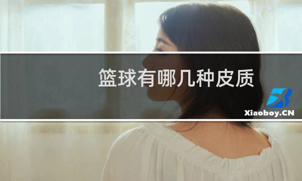 篮球有哪几种皮质图片