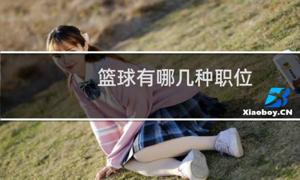 篮球有哪几种职位图片