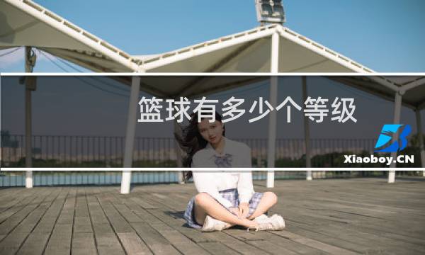 篮球有多少个等级图片