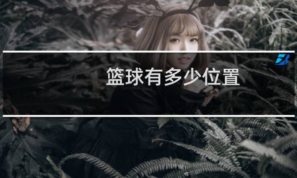 篮球有多少位置图片