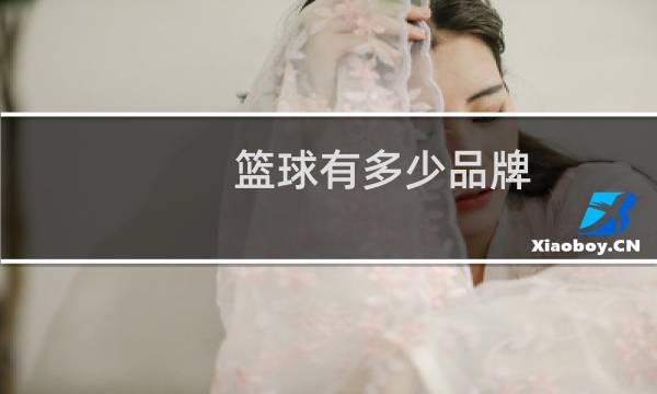 篮球有多少品牌图片