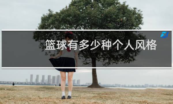 篮球有多少种个人风格图片