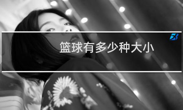 篮球有多少种大小图片