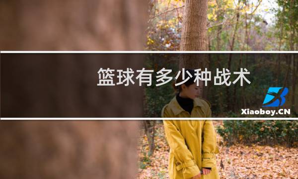 篮球有多少种战术图片