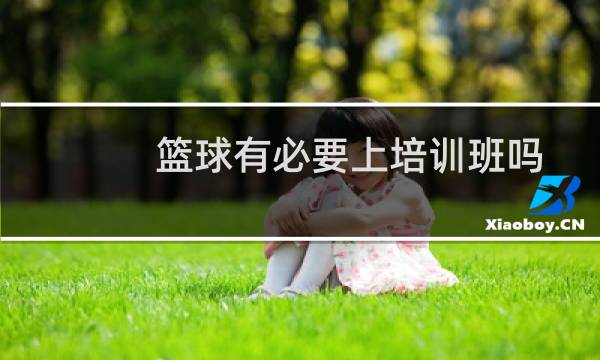 篮球有必要上培训班吗图片
