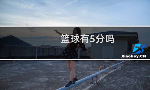 篮球有5分吗图片