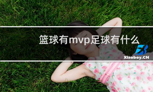 篮球有mvp足球有什么图片