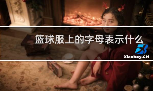 篮球服上的字母表示什么图片