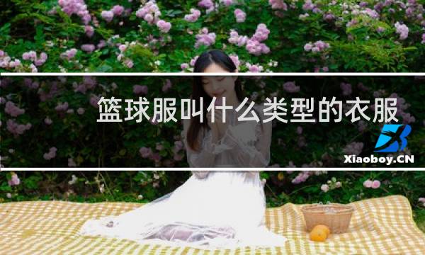 篮球服叫什么类型的衣服图片