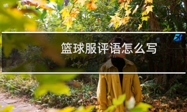 篮球服评语怎么写图片