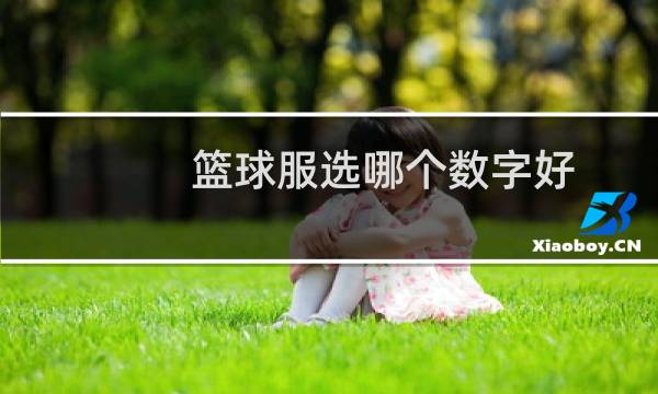 篮球服选哪个数字好图片