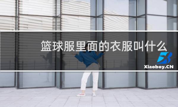 篮球服里面的衣服叫什么图片