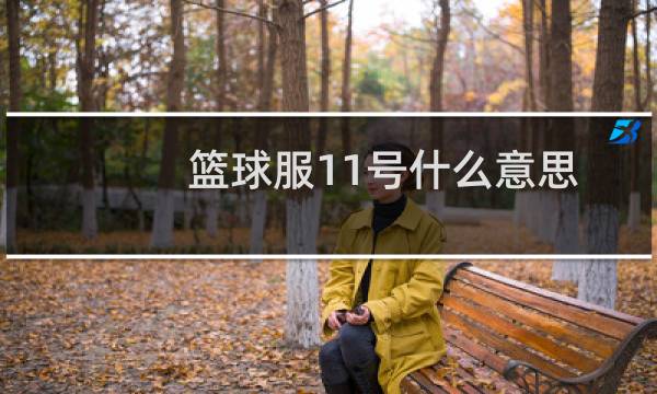 篮球服11号什么意思图片