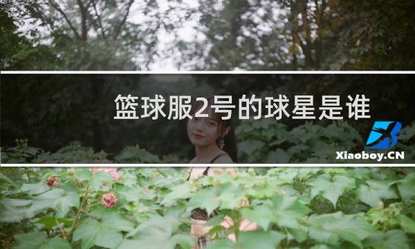 篮球服2号的球星是谁图片