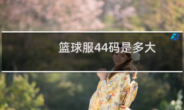 篮球服44码是多大图片