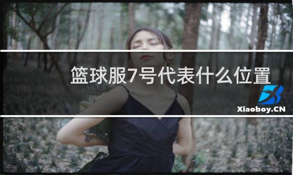 篮球服7号代表什么位置图片